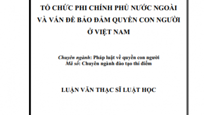 LUẬN VĂN THẠC SĨ: TỔ CHỨC PHI CHÍNH PHỦ NƯỚC NGOÀI VÀ VẤN ĐỀ BẢO ĐẢM QUYỀN CON NGƯỜI Ở VIỆT NAM (TÁC GIẢ: LÊ THỊ THÚY HƯƠNG)
