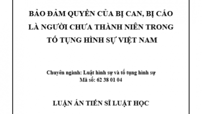 LUẬN ÁN TIẾN SĨ: BẢO ĐẢM QUYỀN CỦA BỊ CAN, BỊ CÁO LÀ NGƯỜI CHƯA THÀNH NIÊN TRONG TỐ TỤNG HÌNH SỰ VIỆT NAM