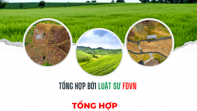 Tổng hợp 20 Bản án, Quyết định giám đốc thẩm  về tranh chấp đất đai mà quá trình giải quyết có yêu cầu phản tố