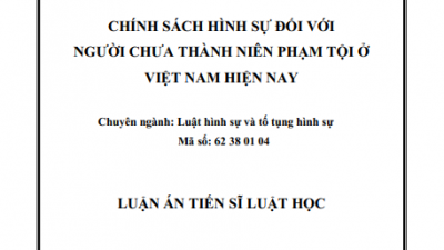 LUẬN ÁN TIẾN SĨ: CHÍNH SÁCH HÌNH SỰ ĐỐI VỚI NGƯỜI CHƯA THÀNH NIÊN PHẠM TỘI Ở VIỆT NAM HIỆN NAY