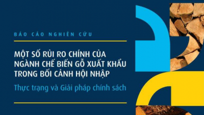 MỘT SỐ RỦI RO CHÍNH CỦA NGÀNH CHẾ BIẾN GỖ NHẬP KHẨU TRONG BỐI CẢNH HỘI NHẬP - THỰC TRẠNG VÀ GIẢI PHÁP CHÍNH SÁCH