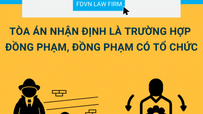 TỔNG HỢP 22 BẢN ÁN VÀ QUYẾT ĐỊNH GIÁM ĐỐC THẨM TOÀ ÁN NHẬN ĐỊNH LÀ TRƯỜNG HỢP ĐỒNG PHẠM, PHẠM TỘI CÓ TỔ CHỨC