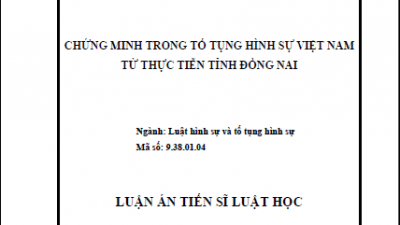LUẬN ÁN TIẾN SĨ: CHỨNG MINH TRONG TỐ TỤNG HÌNH SỰ VIỆT NAM TỪ THỰC TIỄN TỈNH ĐỒNG NAI (TÁC GIẢ: NGUYỄN TRÚC THIỆN)