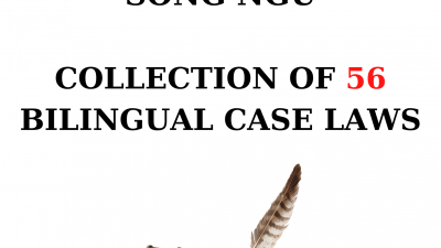 TỔNG HỢP 56 ÁN LỆ SONG NGỮ VIỆT - ANH