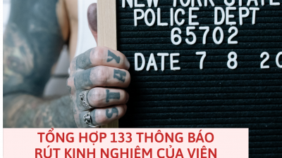 TỔNG HỢP 133 THÔNG BÁO RÚT KINH NGHIỆM CỦA VIỆN KIỂM SÁT TRONG LĨNH VỰC HÌNH SỰ, TỐ TỤNG HÌNH SỰ (TỪ NĂM 2015 ĐẾN NĂM 2021)