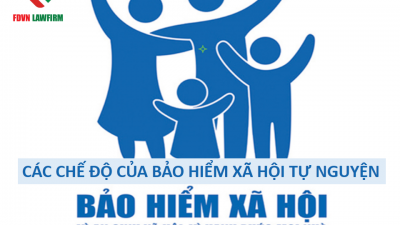 CÁC CHẾ ĐỘ CỦA BẢO HIỂM XÃ HỘI TỰ NGUYỆN