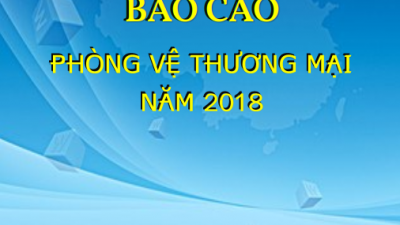 BÁO CÁO PHÒNG VỆ THƯƠNG MẠI NĂM 2018