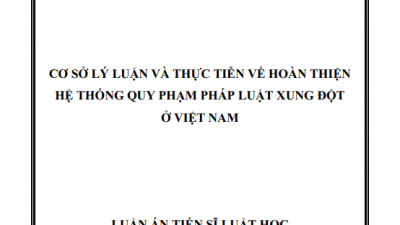 LUẬN ÁN TIẾN SĨ: CƠ SỞ LÝ LUẬN VÀ THỰC TIỄN VỀ HOÀN THIỆN HỆ THỐNG QUY PHẠM PHÁP LUẬT XUNG ĐỘT Ở VIỆT NAM