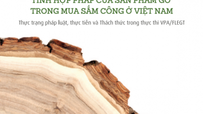 BÁO CÁO NGHIÊN CỨU: TÍNH HỢP PHÁP CỦA SẢN PHẨM GỖ TRONG MUA SẮM CÔNG Ở VIỆT NAM -  THỰC TRẠNG PHÁP LUẬT, THỰC TIỄN VÀ THÁCH THỨC TRONG THỰC THI VPA/FLEGT