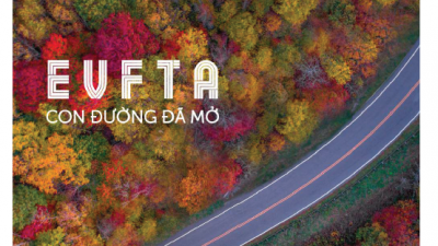 DOANH NGHIỆP VÀ TỰ DO HÓA THƯƠNG MẠI