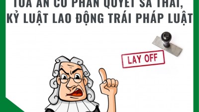 TỔNG HỢP 20 BẢN ÁN TÒA ÁN CÓ PHÁN QUYẾT SA THẢI, KỶ LUẬT LAO ĐỘNG TRÁI PHÁP LUẬT