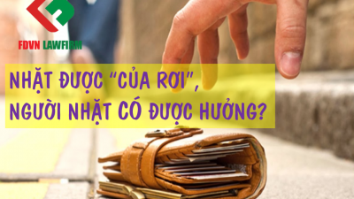 Nhặt được “của rơi”, người nhặt có được hưởng?