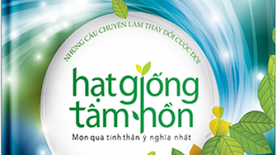 SÁCH HẠT GIỐNG TÂM HỒN (NHIỀU TÁC GIẢ)