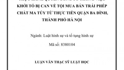 LUẬN VĂN THẠC SĨ: Thực hành quyền công tố trong việc khởi tố bị can về tội Mua bán trái phép chất ma túy từ thực tiễn quận Ba Đình, thành phố Hà Nội