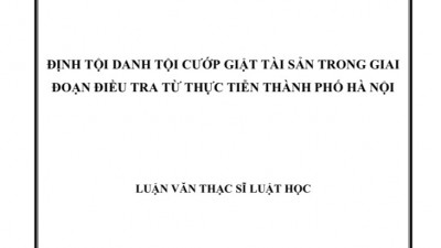 LUẬN VĂN THẠC SĨ: Định tội cướp giật tài sản trong giai đoạn điều tra từ thực tiễn thành phố Hà Nội