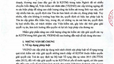 HƯỚNG DẪN VỀ KINH DOANH, THƯƠNG MẠI CỦA VKSND TỐI CAO
