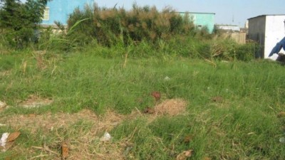 Bất thường dự án BĐS 2A: Khẩn trương kiểm tra, ngăn chặn sai phạm