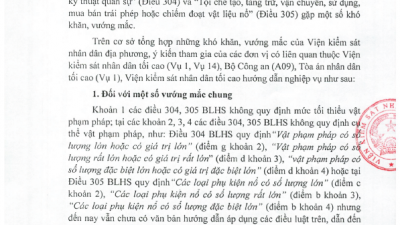 HƯỚNG DẪN NGHIỆP VỤ CỦA VIỆN KIỂM SÁT NHÂN DÂN TỐI CAO