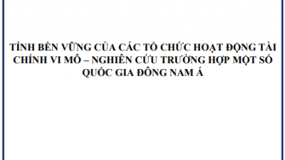 Luận án Tiến sĩ: Tính bền vững của các tổ chức hoạt động tài chính vi mô – Nghiên cứu trường hợp một số quốc gia Đông Nam Á