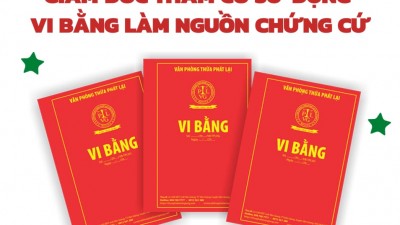 TỔNG HỢP 20 BẢN ÁN, QUYẾT ĐỊNH GIÁM ĐỐC THẨM CÓ SỬ DỤNG VI BẰNG LÀM NGUỒN CHỨNG CỨ