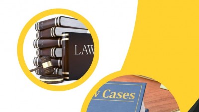 Tổng hợp 20 bài báo pháp lý về án lệ và áp dụng án lệ