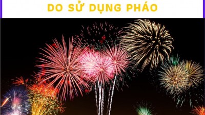 Tổng hợp 08 bản án tội gây rối trật tự công cộng do sử dụng pháo