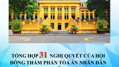 TỔNG HỢP 31 NGHỊ QUYẾT CỦA HỘI ĐỒNG THẨM PHÁN TÒA ÁN NHÂN DÂN TỐI CAO TRONG LĨNH VỰC HÌNH SỰ - TỐ TỤNG HÌNH SỰ (TỪ NĂM 1986 ĐẾN NĂM 2020)