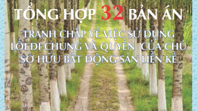 TỔNG HỢP 32 BẢN ÁN VỀ TRANH CHẤP LỐI ĐI CHUNG VÀ QUYỀN CỦA CHỦ SỞ HỮU BÂT ĐỘNG SẢN LIỀN KỀ