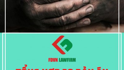 TỔNG HỢP 20 BẢN ÁN VỀ TỘI CHE GIẤU TỘI PHẠM