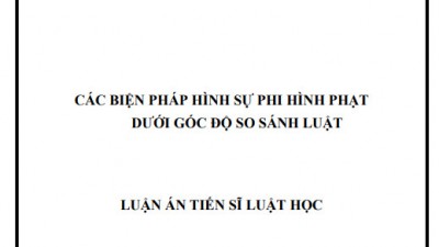 LUẬN ÁN TIẾN SĨ: CÁC BIỆN PHÁP HÌNH SỰ PHI HÌNH PHẠT DƯỚI GÓC ĐỘ SO SÁNH LUẬT